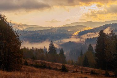 Ukrayna 'daki Karpat dağlarında gün doğumu sisli bir sabah