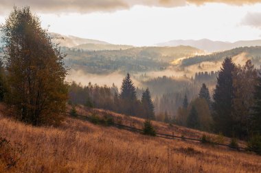 Ukrayna 'daki Karpat dağlarında gün doğumu sisli bir sabah