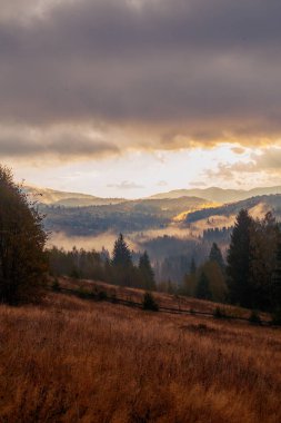 Ukrayna 'daki Karpat dağlarında gün doğumu sisli bir sabah