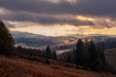 Ukrayna 'daki Karpat dağlarında gün doğumu sisli bir sabah