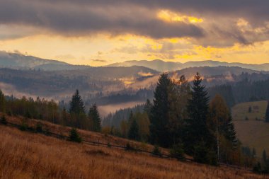 Ukrayna 'daki Karpat dağlarında gün doğumu sisli bir sabah