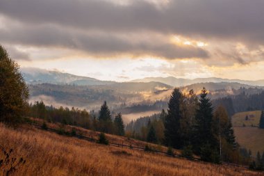 Ukrayna 'daki Karpat dağlarında gün doğumu sisli bir sabah
