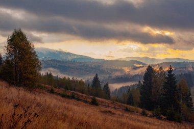 Ukrayna 'daki Karpat dağlarında gün doğumu sisli bir sabah
