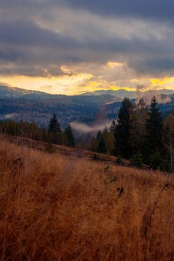 Ukrayna 'daki Karpat dağlarında gün doğumu sisli bir sabah