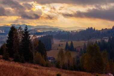 Ukrayna 'daki Karpat dağlarında gün doğumu sisli bir sabah
