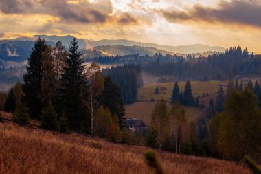 Ukrayna 'daki Karpat dağlarında gün doğumu sisli bir sabah