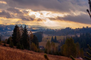 Ukrayna 'daki Karpat dağlarında gün doğumu sisli bir sabah