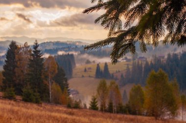 Ukrayna 'daki Karpat dağlarında gün doğumu sisli bir sabah