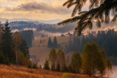 Ukrayna 'daki Karpat dağlarında gün doğumu sisli bir sabah