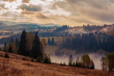 Ukrayna 'daki Karpat dağlarında gün doğumu sisli bir sabah