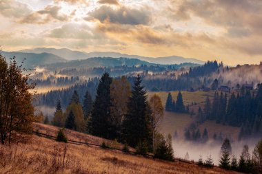 Ukrayna 'daki Karpat dağlarında gün doğumu sisli bir sabah