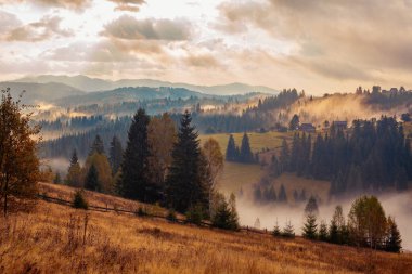 Ukrayna 'daki Karpat dağlarında gün doğumu sisli bir sabah