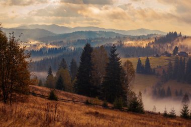 Ukrayna 'daki Karpat dağlarında gün doğumu sisli bir sabah