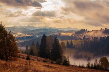 Ukrayna 'daki Karpat dağlarında gün doğumu sisli bir sabah