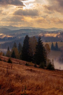 Ukrayna 'daki Karpat dağlarında gün doğumu sisli bir sabah