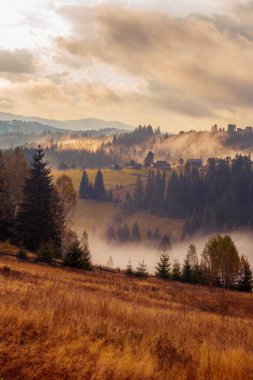 Ukrayna 'daki Karpat dağlarında gün doğumu sisli bir sabah