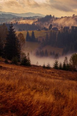 Ukrayna 'daki Karpat dağlarında gün doğumu sisli bir sabah