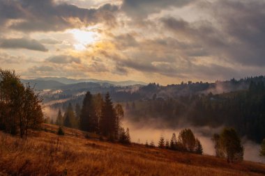 Ukrayna 'daki Karpat dağlarında gün doğumu sisli bir sabah