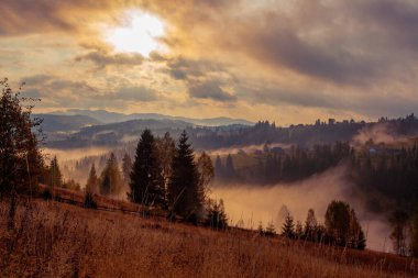 Ukrayna 'daki Karpat dağlarında gün doğumu sisli bir sabah