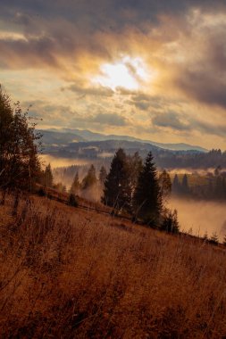 Ukrayna 'daki Karpat dağlarında gün doğumu sisli bir sabah