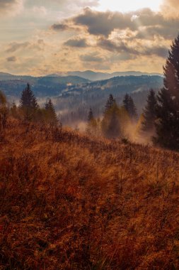 Ukrayna 'daki Karpat dağlarında gün doğumu sisli bir sabah