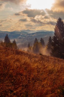 Ukrayna 'daki Karpat dağlarında gün doğumu sisli bir sabah