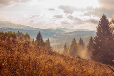 Ukrayna 'daki Karpat dağlarında gün doğumu sisli bir sabah
