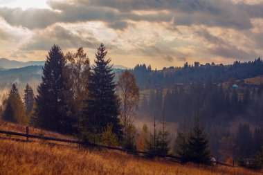 Ukrayna 'daki Karpat dağlarında gün doğumu sisli bir sabah