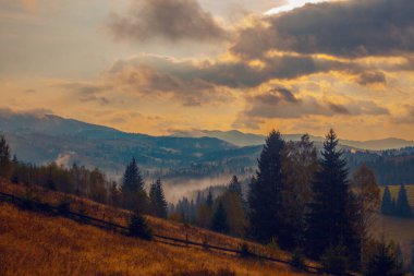 Ukrayna 'daki Karpat dağlarında gün doğumu sisli bir sabah