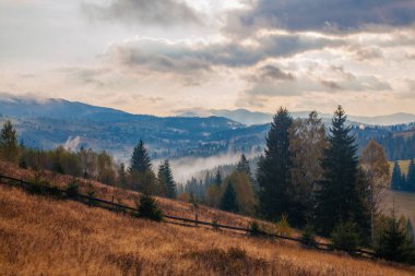 Ukrayna 'daki Karpat dağlarında gün doğumu sisli bir sabah