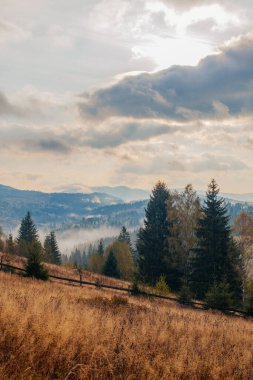 Ukrayna 'daki Karpat dağlarında gün doğumu sisli bir sabah
