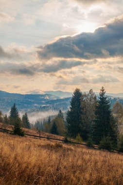 Ukrayna 'daki Karpat dağlarında gün doğumu sisli bir sabah