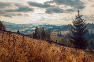 Ukrayna 'daki Karpat dağlarında gün doğumu sisli bir sabah