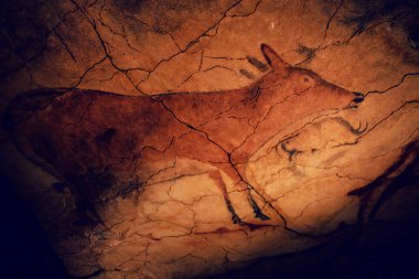 Cantabria, İspanya - 21 Temmuz 2024: İspanya 'da Santillana del Mar' daki antik Altamira mağarasının kopyasında kaya resimleri.