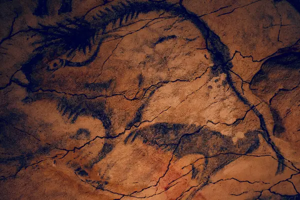 Cantabria, İspanya - 21 Temmuz 2024: İspanya 'da Santillana del Mar' daki antik Altamira mağarasının kopyasında kaya resimleri.