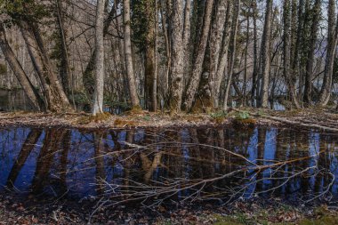 Hırvatistan 'ın Plitvice gölündeki güzel orman ulusal parkı ilkbaharın başlarında alındı