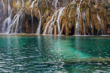 Güzel Plitvice gölleri ulusal parkı, bir sürü şelale ve açık göller.