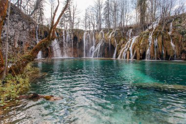 Güzel Plitvice gölleri ulusal parkı, bir sürü şelale ve açık göller.