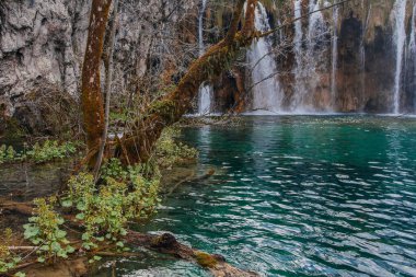 Güzel Plitvice gölleri ulusal parkı, bir sürü şelale ve açık göller.