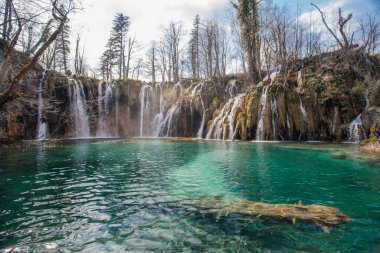 Güzel Plitvice gölleri ulusal parkı, bir sürü şelale ve açık göller.