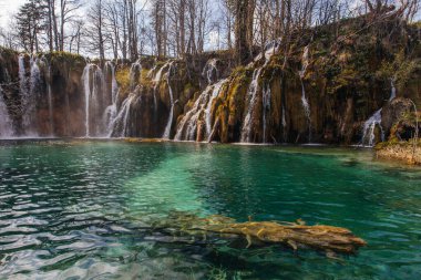 Güzel Plitvice gölleri ulusal parkı, bir sürü şelale ve açık göller.