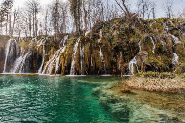 Güzel Plitvice gölleri ulusal parkı, bir sürü şelale ve açık göller.