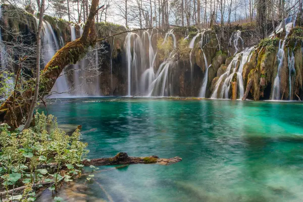 Güzel Plitvice gölleri ulusal parkı, bir sürü şelale ve açık göller.