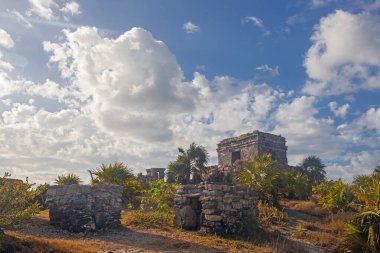 Antik Tulum, Meksika, Yucatan 'daki Okyanus kıyısında harabeler.