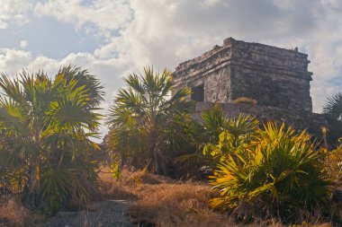 Antik Tulum, Meksika, Yucatan 'daki Okyanus kıyısında harabeler.