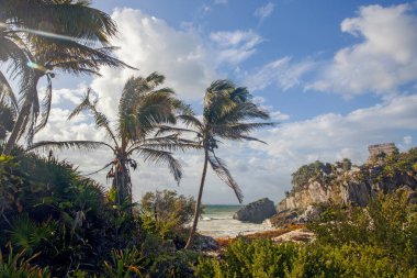 Antik Tulum, Meksika, Yucatan 'daki Okyanus kıyısında harabeler.