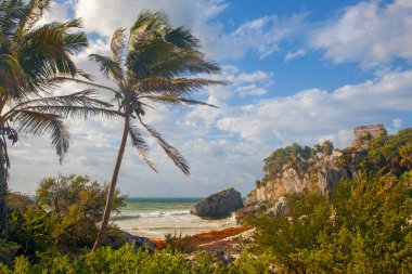 Antik Tulum, Meksika, Yucatan 'daki Okyanus kıyısında harabeler.