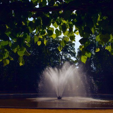 Sabahın erken saatlerinde Brüksel şehir parkında parlayan güzel çeşme, Belçika