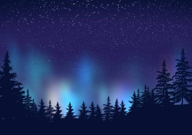 Ağaçların birleşimi, Aurora Borealis 'in arka planına karşı, kış tatili illüstrasyonu.