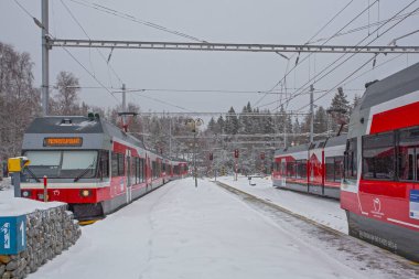 Strbske Pleso, Slovakya - 16 Aralık 2024: Slovakya 'daki Strbske Pleso' nun karlı tren istasyonunda yolcuları bekleyen modern elektrikli tren dağ parkı High Tatras 'ta..